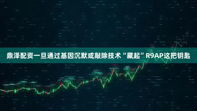 鼎泽配资一旦通过基因沉默或敲除技术“藏起”R9AP这把钥匙