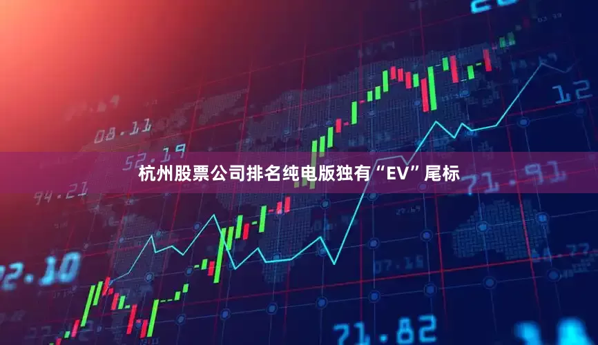杭州股票公司排名纯电版独有“EV”尾标