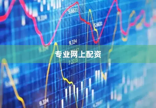 专业网上配资