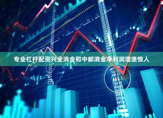 专业杠杆配资　　兴业消金和中邮消金净利润增速惊人